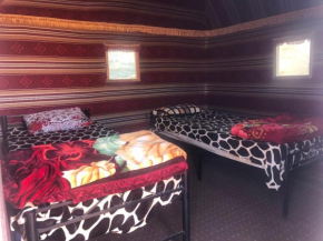 Milky Way Bedouin Camp